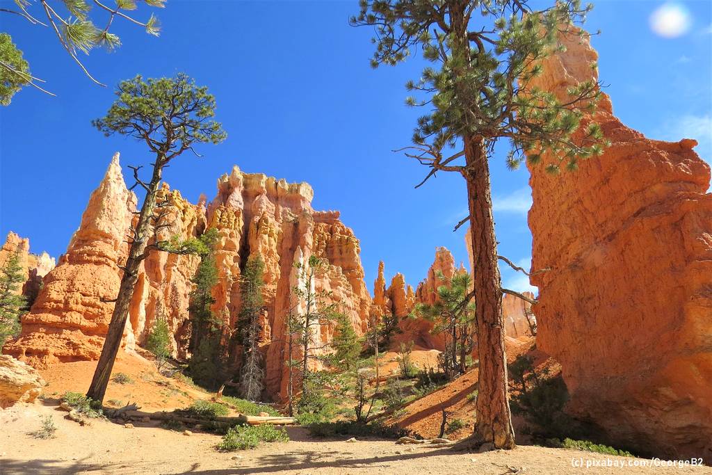 Bryce Canyon: Die rotgefärbten Felsformationen sind ein typischer Anblick! (Foto: pixabay.com/GeorgeB2)