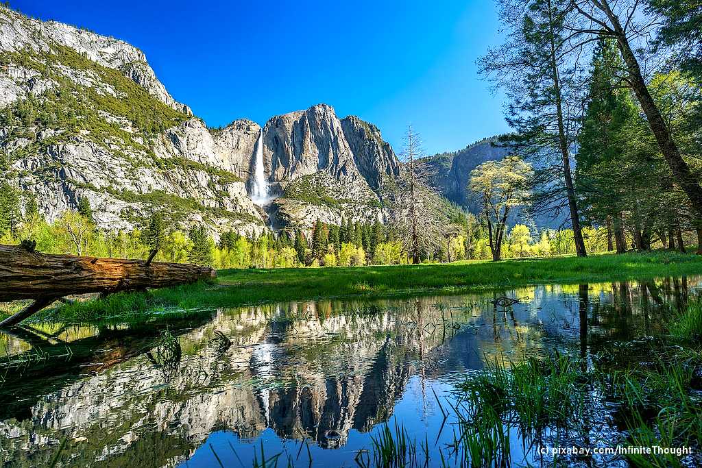 Yosemite-Park: Berühmt für die Wasserfälle und Riesenmammutbäume. (Foto: pixabay.com/InfiniteThought)